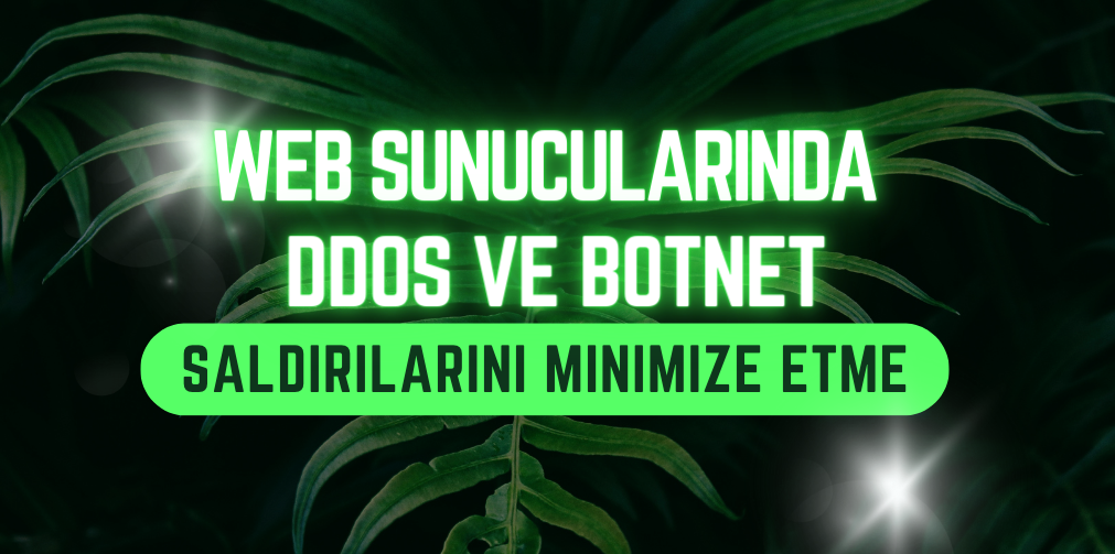 Web Sunucularında DDoS-Botnet saldırılarını Minimize Etme